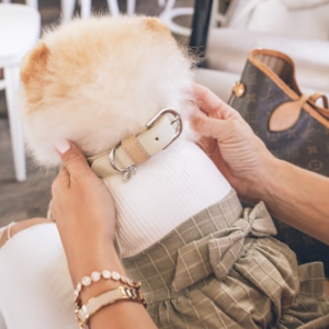 Pet Carrier for Travel Convenience